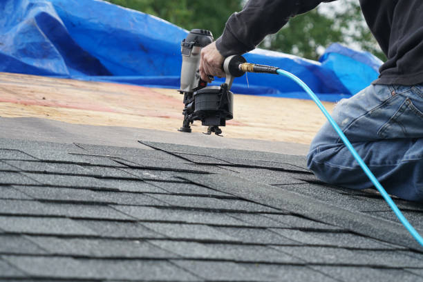 Best Roof Moss and Algae Removal  in Laurel, VA