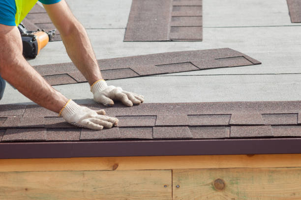 Best Solar Panel Roofing Installation  in Laurel, VA